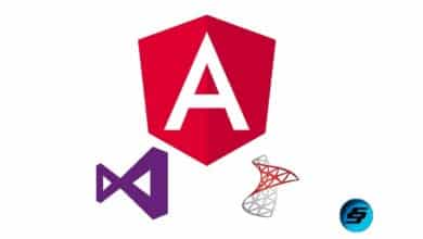 Learn Angular 8 by creating a simple Full Stack Web App