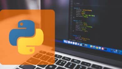 Python Programming for beginners: Quickly learn python
