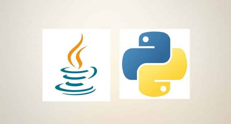 Complete Python and Java Programming BUNDLE