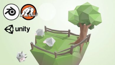The Complete Unity® Masterclass: Build 2D, 3D, and VR Games