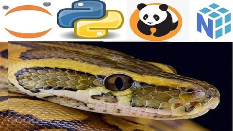 Python Bootcamp for Data Science 2021 Numpy Pandas & Seaborn